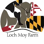 Pick Your Time/ Pick Your Test Dressage Show and Blue Ribbon Jumper Rounds @ Loch Moy Farm